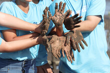 Group Of Four Volunteer In Blue T-shirt Showing Join Hands Covered Mud Dirty After Planting Sapling Tree In Deep Mud At Mangrove Forest, Do Charity Work Together, Love Our Planet Earth For Further