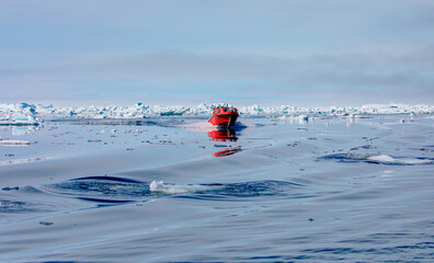 Wall Mural - fast moving motorboat trying to get out of the ice - stranded icebergs in the fog at the mouth of th