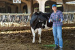 © JENOCHE - Farmer worker man at cow farm, livestock ranches