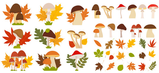 Wall Mural - mushroom leaves autumn set in flat style, isolated, vector