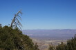 Mount Lemmon, AZ