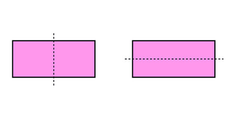 Wall Mural - lines of symmetry in a rectangle shape