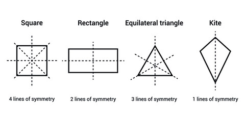 Wall Mural - lines of symmetry in a square rectangle equilateral triangle and kite shape