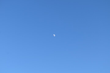 Sticker - Moon in a Blue Sky