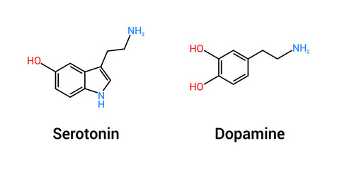 Wall Mural - chemical structure of serotonin and dopamine