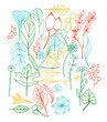 Set di foglie e fiori colorati,  elementi naturali isolati su sfondo bianco