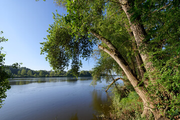 Poster - Path along the Loire river bank near Beaugency village