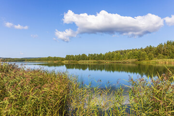 Wall Mural - Old open pit filled with water