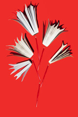 Wall Mural - Red books and pencils on vibrant red  background. Education, knowledge or Nature concept. Flat lay.