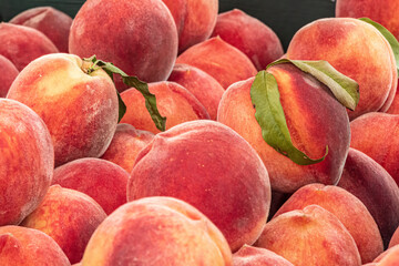 Fresh Peaches at the Farmer's Market