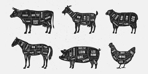 Wall Mural - Butcher diagram, scheme set. Trendy vintage hand-drawn style. Lamb, Pork, Goat, Chicken, Horse, Beef meat cuts. Cuts of meat set for butchery, meat shop, restaurant, grocery store. Vector illustration