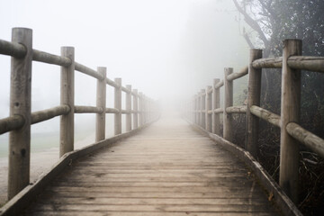  Winding country road into the mist - Trail, wooden footbridge through dark evergreen forest in fog. Atmospheric autumn landscape. Concepts of ghost, loneliness, silence, gothic, mystery.