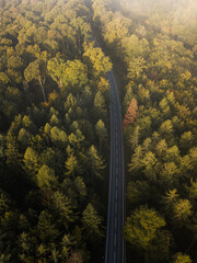 Wall Mural - Aerial view of countryside road passing through the green forest and mountain.