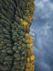 Wall Mural - Aerial top view of colorful autumn forest and mountain lake. Drone photograph. 