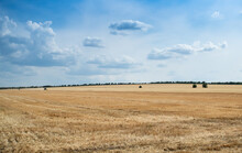 A Harvest Combine Collects Wheat At The Wheat Field Near Dubasarii Vechi Village.