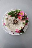 Fototapeta Sypialnia - Homemade birthday cake for dog / Poppy seed cheesecake