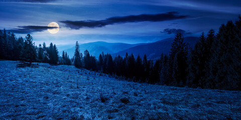 Wall Mural - landscape with coniferous forest at night. beautiful nature scenery in full moon light. wonderful ca