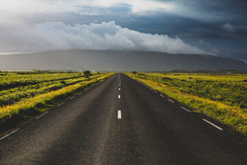 Wall Mural - Very picturesque empty road in iceland in summer. Asphalt road as a symbol of freedom and travel.