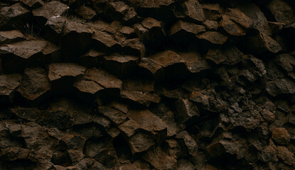 Poster - bark of a tree