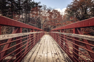 Wall Mural - Bridge with rusty reiling in the Acadia National Park, Maine