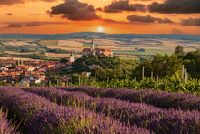 Beautiful landscape. View of the city of Mikulov in the Czech Republic in Europe. In the foreground are vineyards and lavender. There are some nice dramatic clouds in the sky.