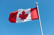 canadian flag waving against sky