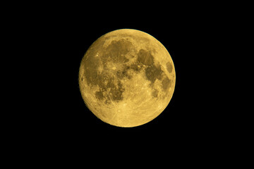Wall Mural - Yellow full moon on dark black sky background, shot from surface of earth with very long telephoto lens. Close-up of moon glowing at clear sky.