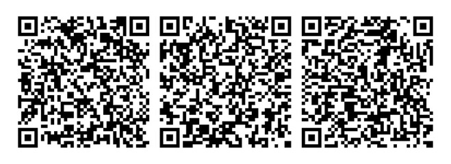 Vector QR code