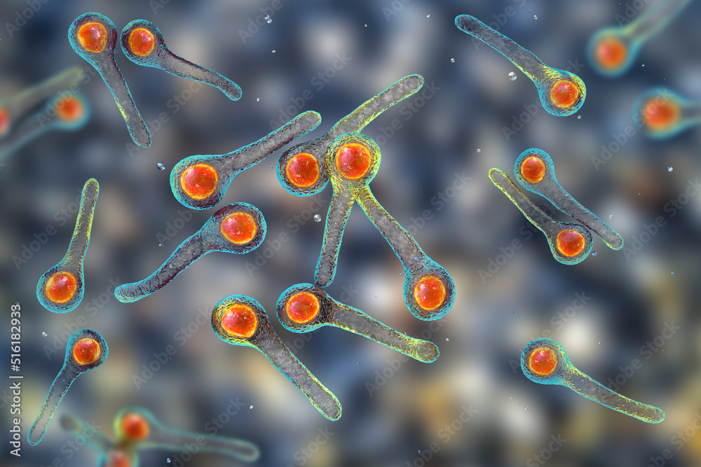 Clostridium tetani bacteria Stock Illustration | Adobe Stock