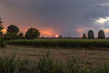 Wall Mural - Dusk sky over the fields