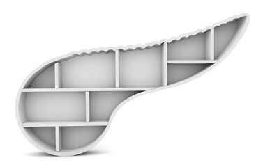 Poster - Pancreas shelf isolated on white background. Organ shelf. 3d rendering