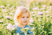 Close Up Portrait Of Beautiful Joyful Blonde Girl Child Holding Flower And Smiles In Chrysanthemum Field. Kids Fantasy. Smiling Girl Blue Eyed, Fair Skinned Girl With Happy And Peaceful Expression