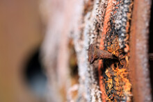 Rusty Nail Through Weathered Fabric.