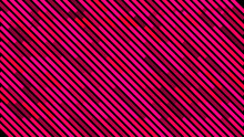 Abstract Motion Background With Diagonal Pink Lines Isolated On Black Background, Seamless Loop. Animation. Beautiful Colorful Narrow Stripes With Moving Light Impulse.