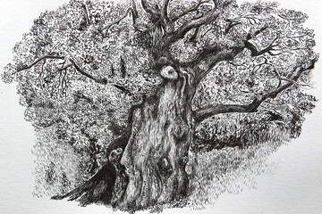 Old tree - illustration. Detailed drawing of a large tree with many branches, drawn by a liner.