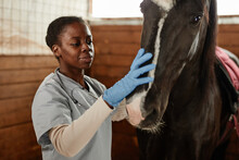 Warm Toned Portrait Of Female Veterinarian Taking Care Of Horse In Stables And Smiling