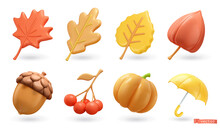 Autumn. Maple Leaf, Oak, Poplar, Physalis, Acorn, Rowan, Pumpkin, Umbrella. 3d Vector Icon Set