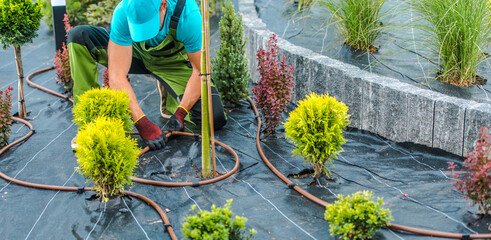 landscaping contractor building drip irrigation system in a garden