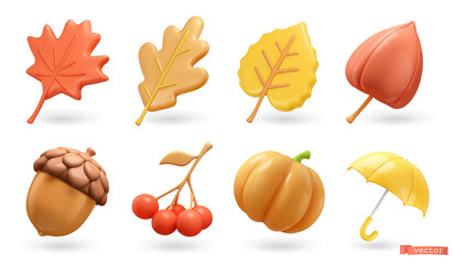 Wall Mural - autumn. maple leaf, oak, poplar, physalis, acorn, rowan, pumpkin, umbrella. 3d vector icon set