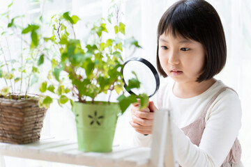 Wall Mural - 観葉植物を虫メガネで観察する女の子