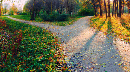 Wall Mural - A wide walking path in the rays of the setting sun, showered with fallen leaves, on the outskirts of the park is divided into two paths, diverging in different directions. Autumn conceptual landscape