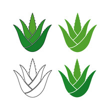 Set Of Aloe Vera. Succulent Herbaceous Plant; A Species Of The Genus Alo. Vector Illustration Isolated On A White Background For Design And Web.