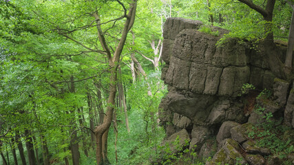 Ith - Klippe im Wald, Mittelgebirge, Niedersachsen, Deutschland, Europa