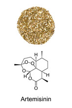 Artemisia Annua Herb Circle, And The Chemical Formula Of Artemisinin. Dried Sweet Wormwood, And Chemical Structure Of The Plant Extract, A Medication To Treat Malaria, Also Used In TCM To Treat Fever.