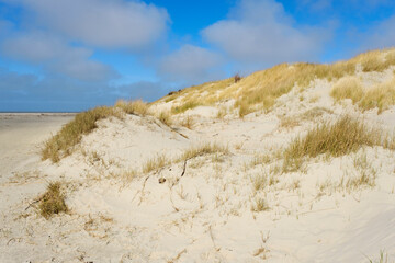 Sticker - Sanddüne am Strand von Juist, Ostfriesische Insel, Niedersachsen, Deutschland, Europa