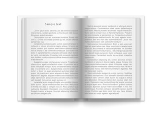 Mock up of book. Blank open book with text