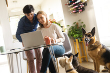 Lesbian Caucasian Couple Working On Laptop Over Table By Scottish Terriers And German Shepherd