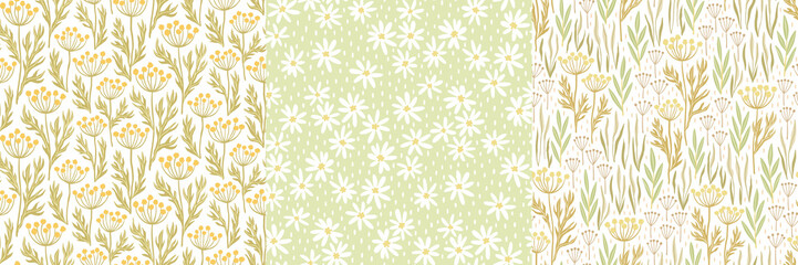 set of hand-drawn seamless patterns with stylized wildflowers. colorful floral illustrations for pap