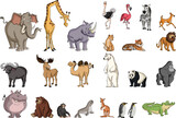 Fototapeta Pokój dzieciecy - Big group of cartoon animals.  Vector illustration of funny happy animals.

