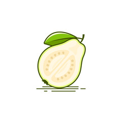 Wall Mural - Half piece of White Guava Vector illustration isolated on white background